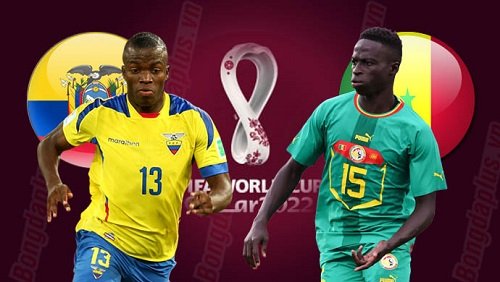 prediction Ecuador vs Senegal 29112022
